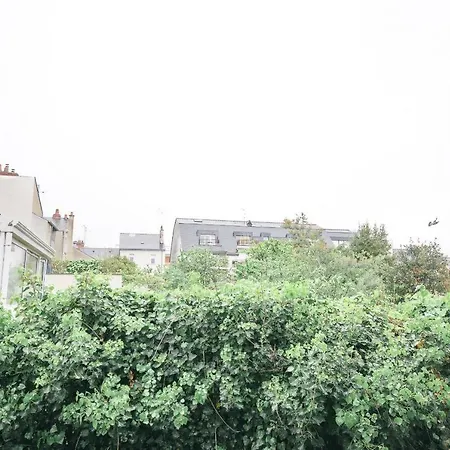 La Douce Angevine * אנז'ה