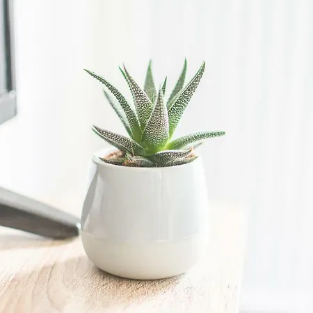 Appartamento La Douce Angevine *