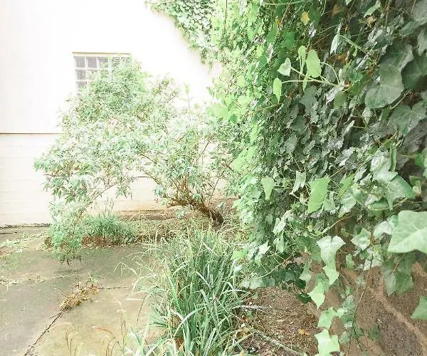 公寓 La Douce Angevine 昂热