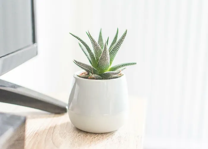 公寓 La Douce Angevine *