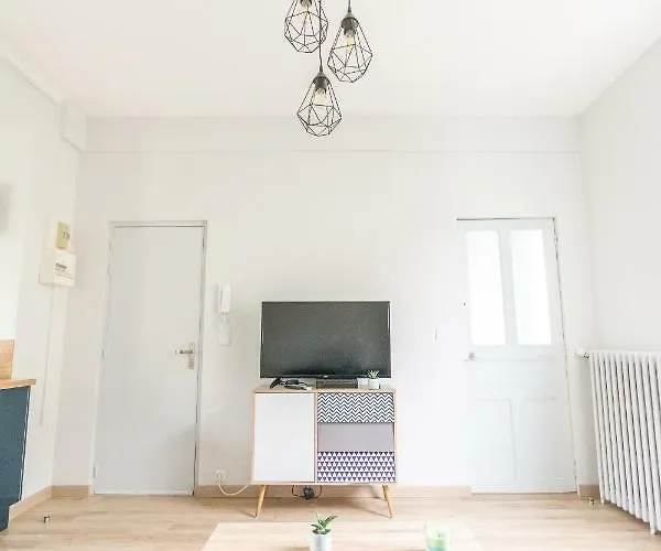 La Douce Angevine 公寓 昂热