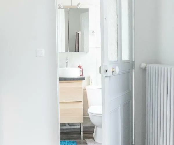 La Douce Angevine 公寓 昂热